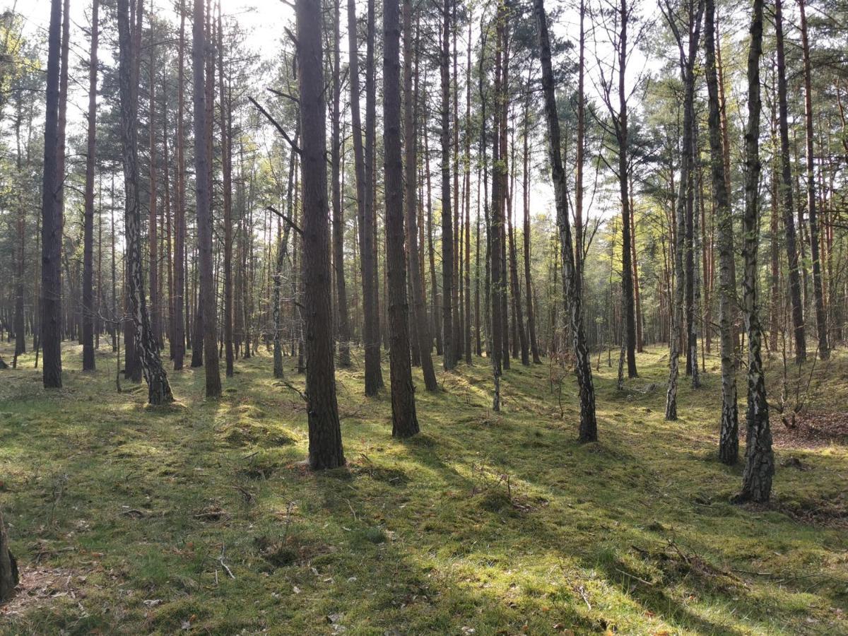 M&K Apartamenty - Morska Bryza, Sobieszewo- Wyspa Sobieszewwska Gdaňsk Exteriér fotografie